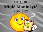 Social work 16 puslapis