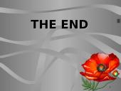 Social work 17 puslapis