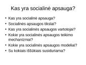 Socialinė apsauga Europoje: koncepcijos, mechanizmai, iššūkiai 2 puslapis