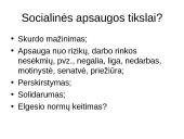 Socialinė apsauga Europoje: koncepcijos, mechanizmai, iššūkiai 4 puslapis