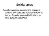 Socialinė apsauga Europoje: koncepcijos, mechanizmai, iššūkiai 8 puslapis