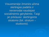 Socialinė nelygybė visuomenėje 2 puslapis