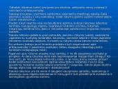 Socialinės problemos. Rūkymas 11 puslapis