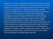 Socialinės problemos. Rūkymas 3 puslapis