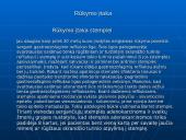 Socialinės problemos. Rūkymas 4 puslapis