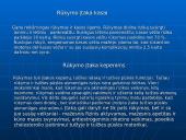 Socialinės problemos. Rūkymas 6 puslapis