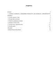 Streikas kaip institutas Lietuvos Respublikoje