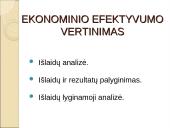 Socialinio darbo ekonomizavimas bei socialinių paslaugų efektyvumo analizė 11 puslapis