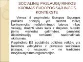 Socialinio darbo ekonomizavimas bei socialinių paslaugų efektyvumo analizė 13 puslapis