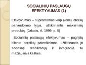 Socialinio darbo ekonomizavimas bei socialinių paslaugų efektyvumo analizė 3 puslapis