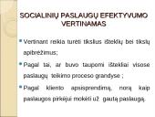 Socialinio darbo ekonomizavimas bei socialinių paslaugų efektyvumo analizė 5 puslapis