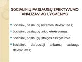 Socialinio darbo ekonomizavimas bei socialinių paslaugų efektyvumo analizė 6 puslapis