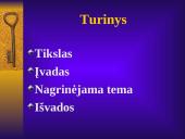 Socialinio darbo ir socialinės edukologijos reikšmė sėkmingai individo socializacijai 2 puslapis