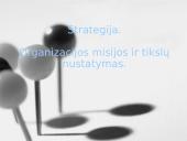 Strategija. Organizacijos misijos ir tikslų nustatymas