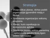 Strategija. Organizacijos misijos ir tikslų nustatymas 2 puslapis