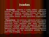 Strateginio plano įgyvendinimas 2 puslapis