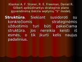 Strateginio plano įgyvendinimas 12 puslapis