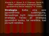 Strateginio plano įgyvendinimas 13 puslapis