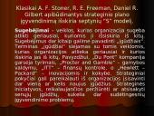 Strateginio plano įgyvendinimas 17 puslapis