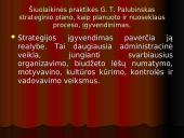 Strateginio plano įgyvendinimas 19 puslapis