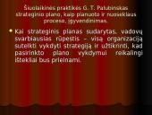 Strateginio plano įgyvendinimas 20 puslapis