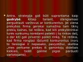 Strateginio plano įgyvendinimas 4 puslapis