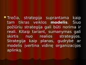 Strateginio plano įgyvendinimas 5 puslapis