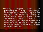 Strateginio plano įgyvendinimas 7 puslapis