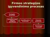 Strateginio plano įgyvendinimas 8 puslapis