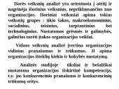 Strateginio planavimo esmė  12 puslapis