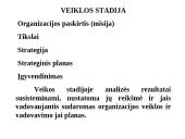 Strateginio planavimo esmė  13 puslapis