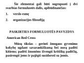 Strateginio planavimo esmė  19 puslapis