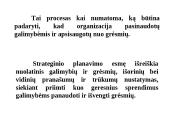 Strateginio planavimo esmė  3 puslapis