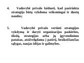 Strateginio planavimo esmė  6 puslapis