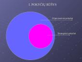 Strateginių pokyčių valdymas 2 puslapis