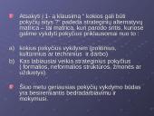 Strateginių pokyčių valdymas 12 puslapis