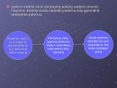 Strateginių pokyčių valdymas 8 puslapis