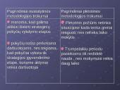 Strateginių pokyčių valdymas 10 puslapis