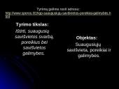 Tyrimas: suaugusiųjų savišvietos poreikiai ir galimybės 2 puslapis