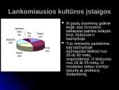 Tyrimas: suaugusiųjų savišvietos poreikiai ir galimybės 11 puslapis