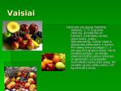 Sveikas gyvenimo būdas ir mityba 12 puslapis