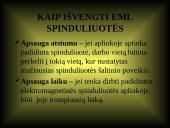 Sveikata ir darbas su kompiuteriu 7 puslapis