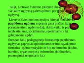 Sveikatos ugdymas per papildomą veiklą 13 puslapis