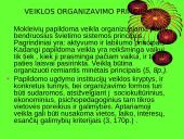 Sveikatos ugdymas per papildomą veiklą 16 puslapis