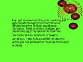 Sveikatos ugdymas per papildomą veiklą 3 puslapis