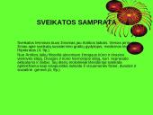 Sveikatos ugdymas per papildomą veiklą 5 puslapis