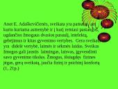 Sveikatos ugdymas per papildomą veiklą 6 puslapis