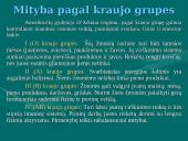 Sveikos gyvensenos programa 11 puslapis