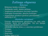 Sveikos gyvensenos programa 14 puslapis