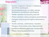 SWOT analizė: Sveikatingumo centras "Linija" 2 puslapis
